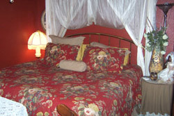Abby Room
