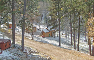 Winter View